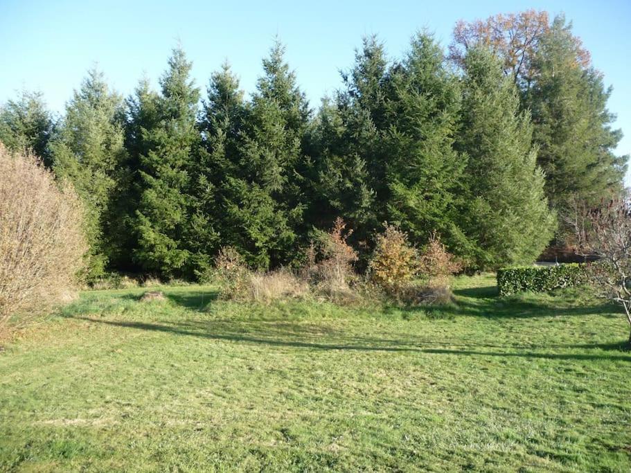 Gite Des Forces - Limousin - Haute Vienne Saint-Bazile エクステリア 写真